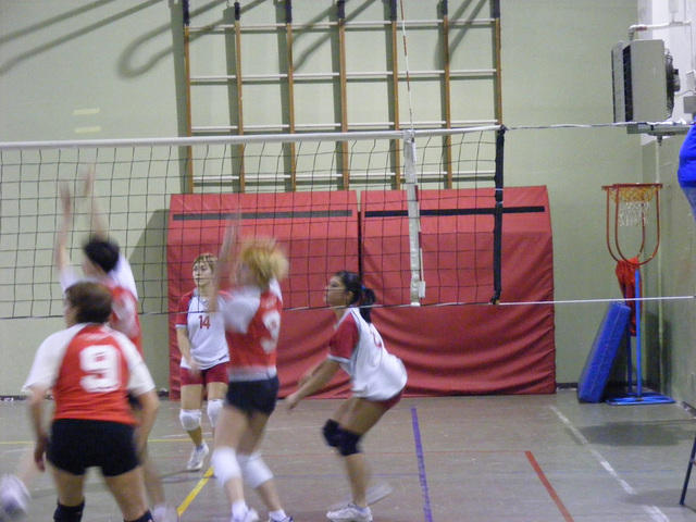 DSCF0653.jpg