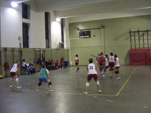 DSCF0667.jpg