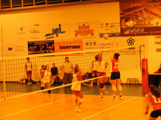 DSCF0790.jpg