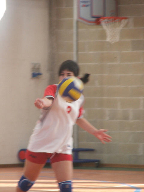 DSCF3897.jpg