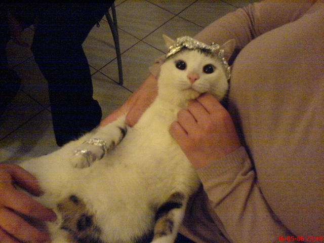 DSC00008.jpg