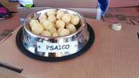 IMG-20180630-WA0013