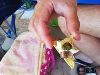 IMG-20180701-WA0032
