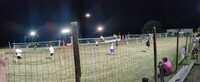 IMG-20230727-WA0019
