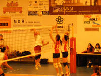 DSCF0784.jpg