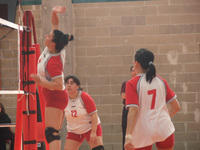 DSCF3816.jpg
