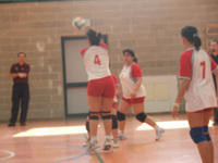 DSCF3818.jpg