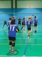 IMG-20230423-WA0053
