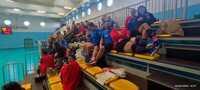 IMG-20240204-WA0011