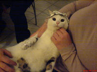 DSC00008.jpg