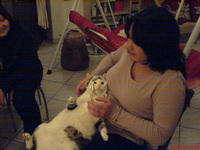 DSC00009.jpg